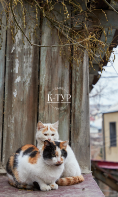 Фото тура